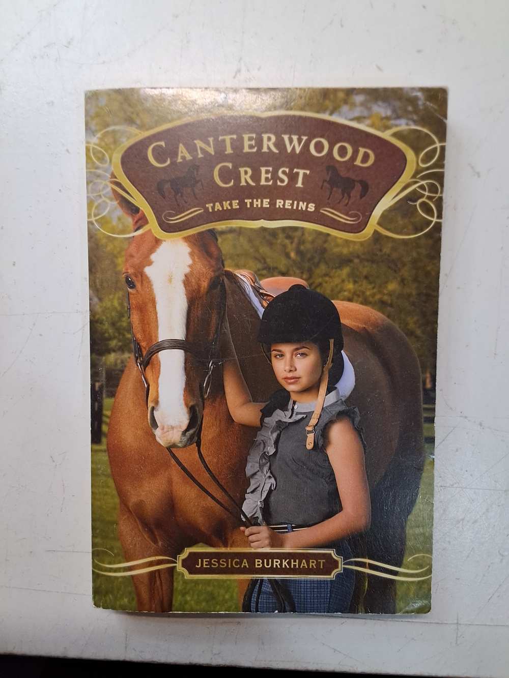 Canterwood Crest: Take the Reins by Jessica Burkhart